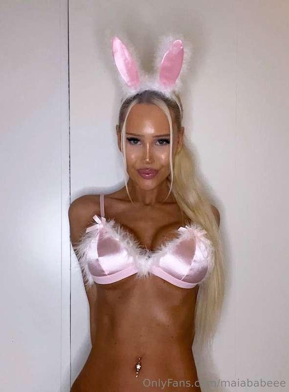 horny bunny 😈