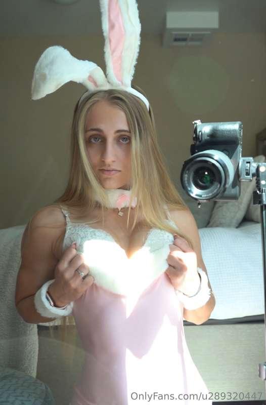 Your favorite bunny 