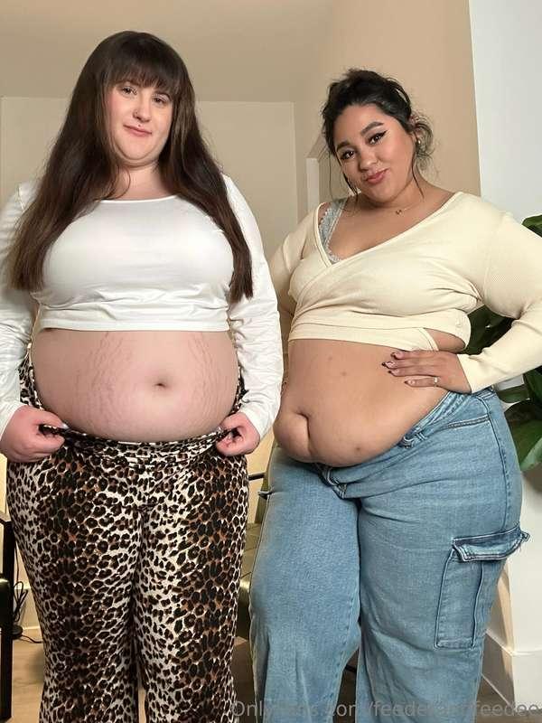 feederandfeedee image #0