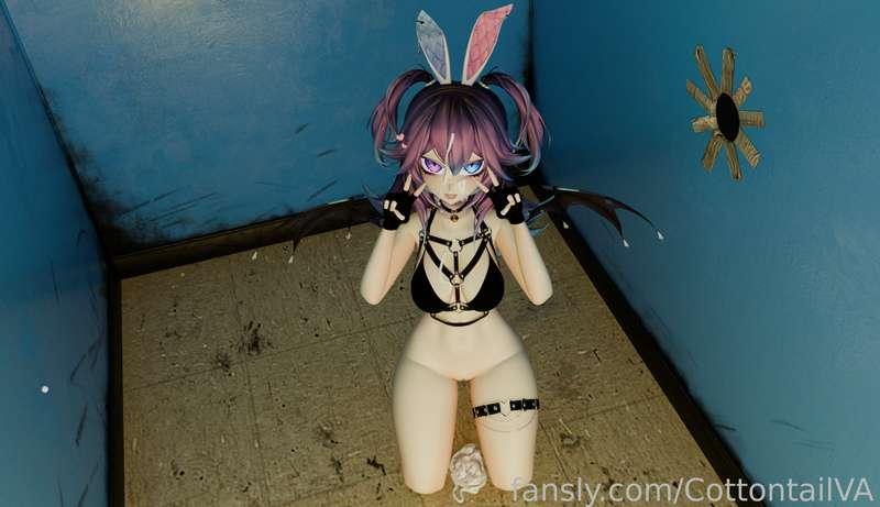 cottontailva image #5
