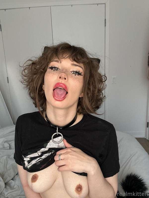 cakedfeline image #3