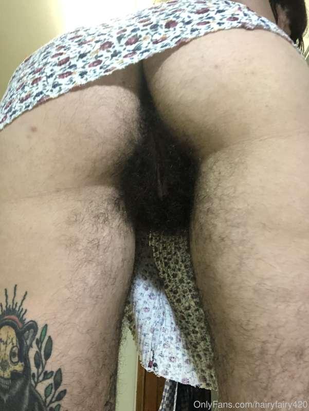 hairyfairy420 image #1