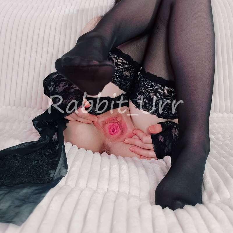 rabbit_urr image #11