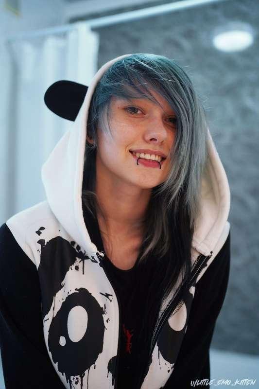 little_emo_kitten image #1