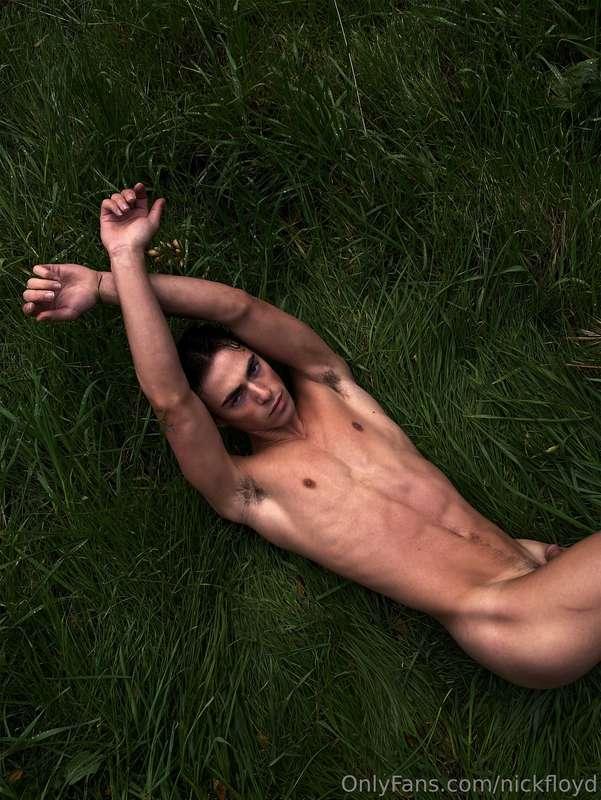 Some photos and vids I've taken recently on my private prope..