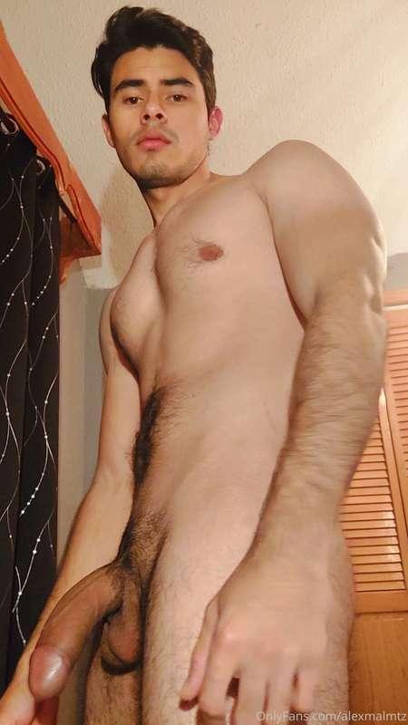 alexmalmtz image #1