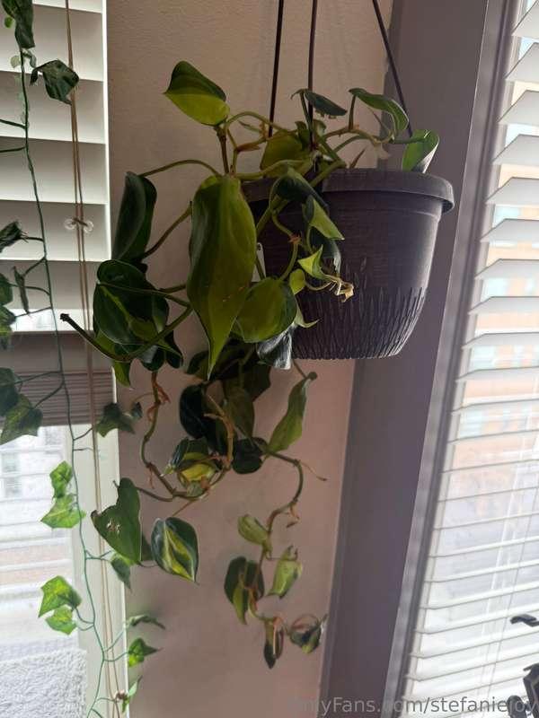 I dropped this and 3/4 the soil fell out and it’s also outgr..