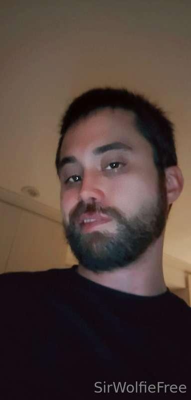 sirwolfiefree image #9