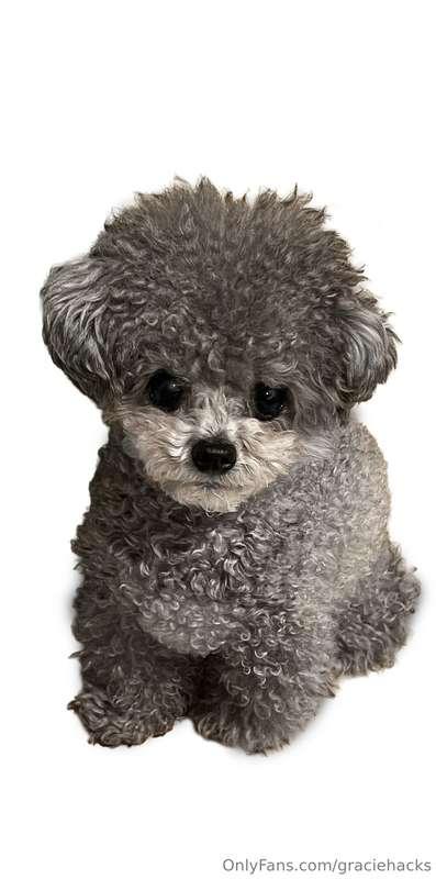 I love my Dog. whats your favorite type of dog and name? 