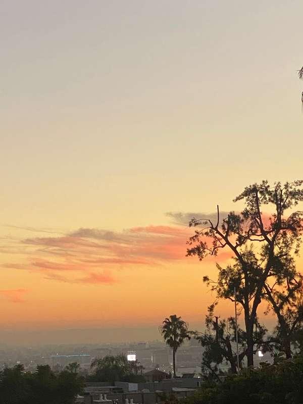 Always here for sunset vibes to reflect on the day ✨✨✨