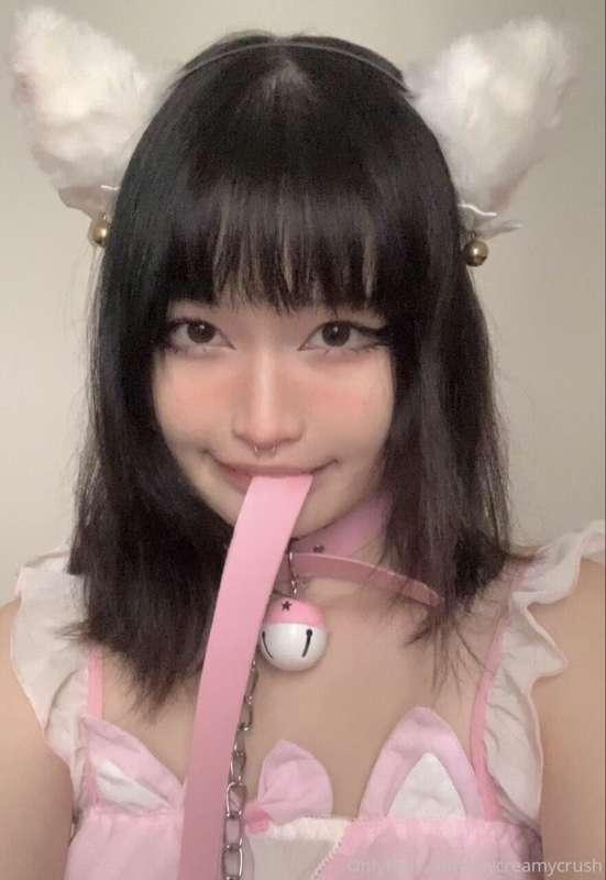 hewwo!! If you don't mind can you let me know how you found ..