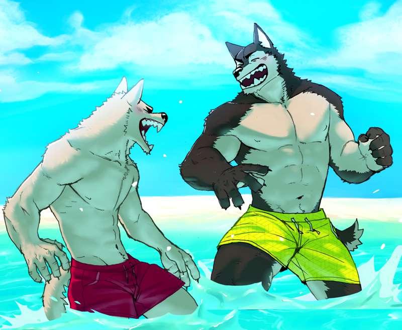 What Shiro and Kuro were doing this summer