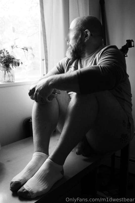 m1dwestbear image #5