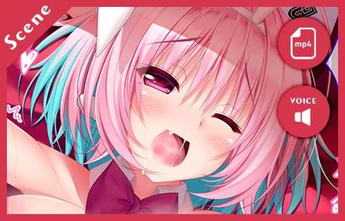 [With sound] Bunny Riam（Scene2）