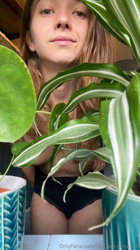 Hi from plant mama✌️
I hope you liked my yesterday's post.....