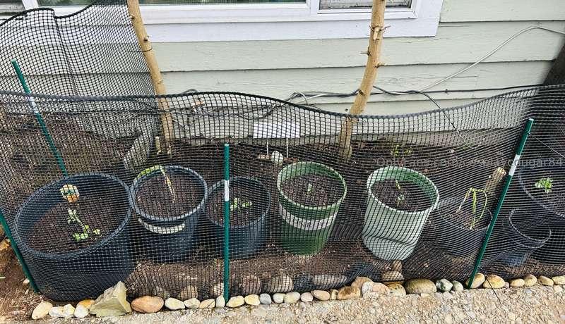 It’s coming together! ❤️