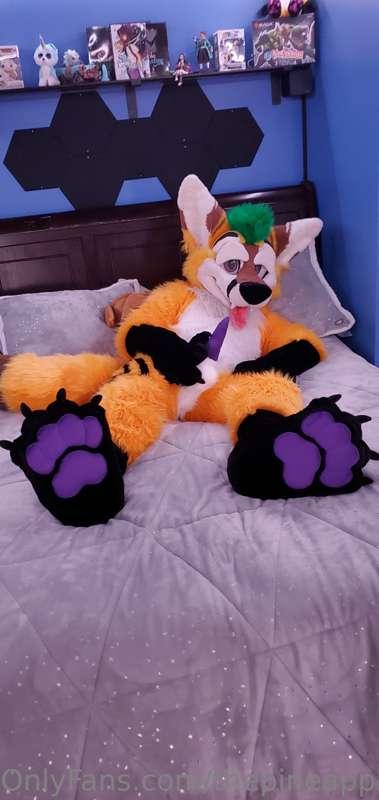 thepineapplefox image #13