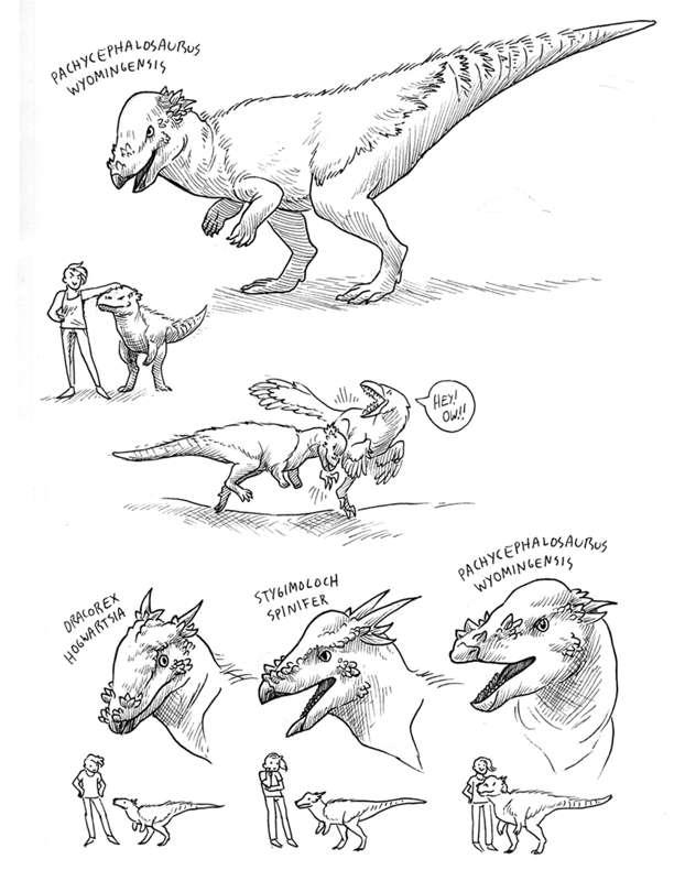 Extinct Creatures-- Pachycephalosaurus