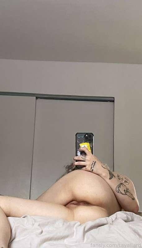 tayallard image #2
