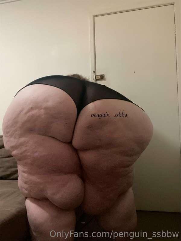 penguin_ssbbw image #2