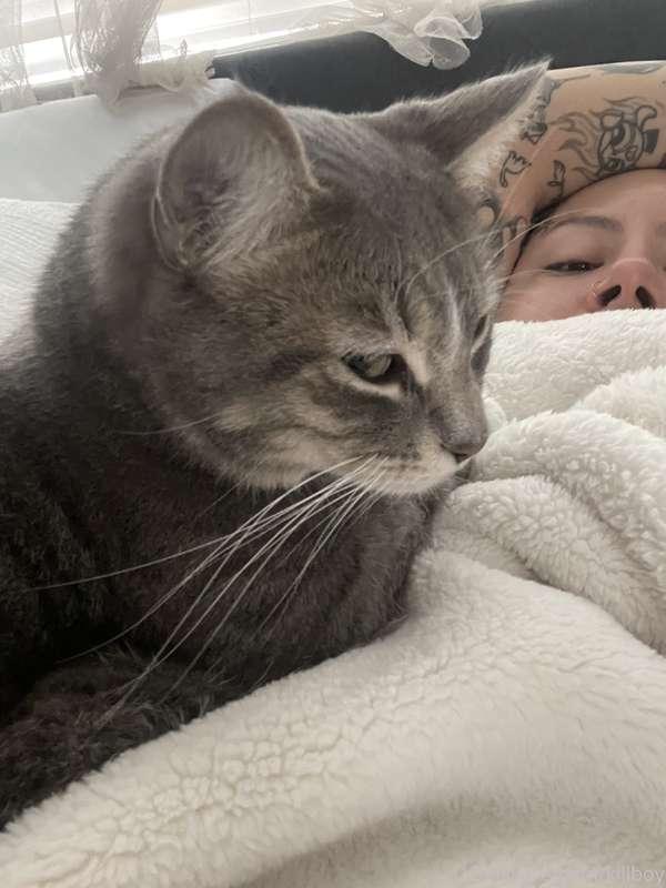 how we wake up every morning