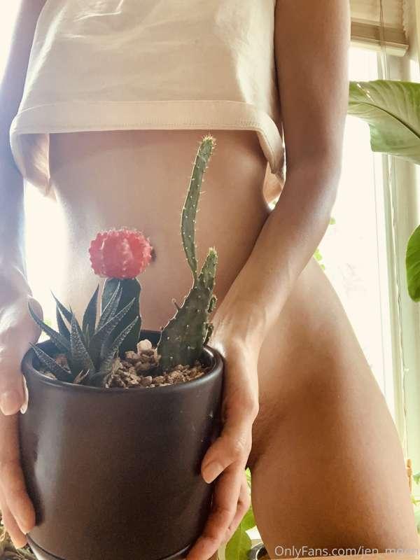 I love my little plants so much 🌱