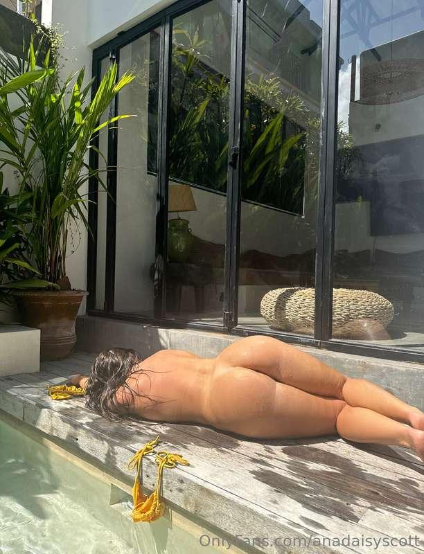 anadaisyscott main image