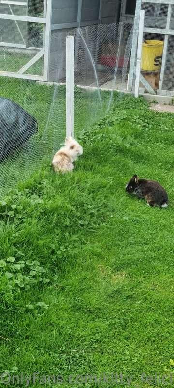 Some sfw stuff 🥰 Basically a recap of what I did all day! La..