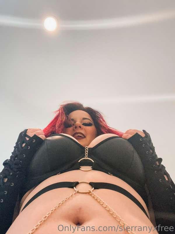Where would you like me to sit daddy, your cock or your face..
