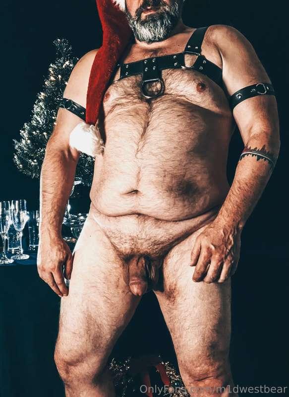 m1dwestbear image #3