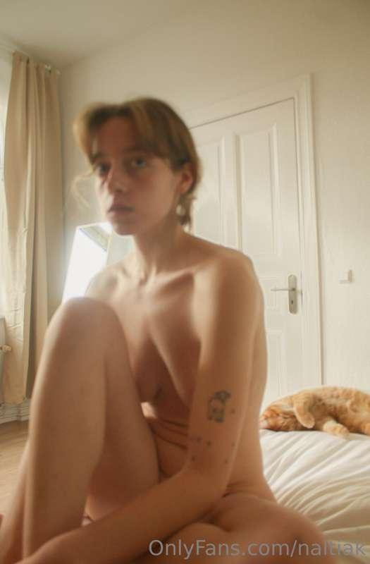 naltiak image #1