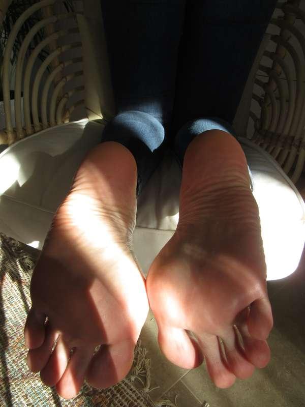 neolasoles image #12