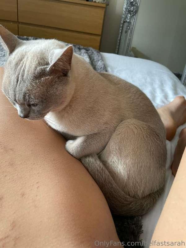If I fits, I sits x