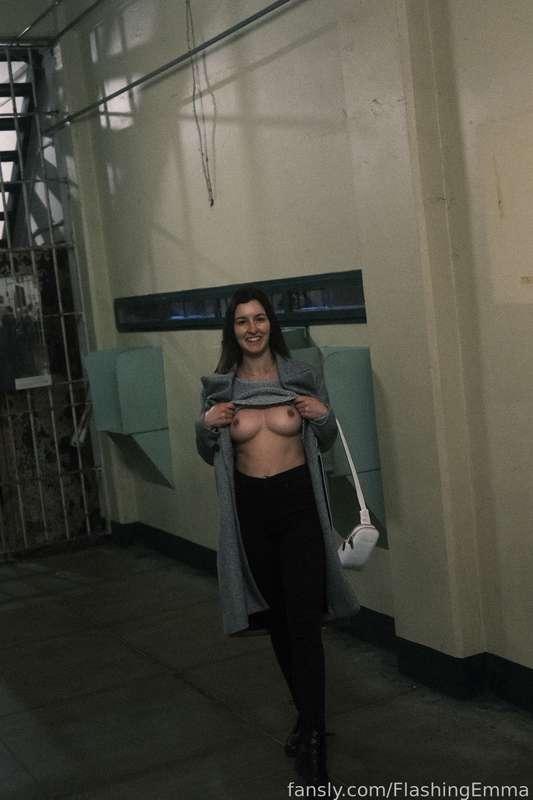 flashingemma image #2