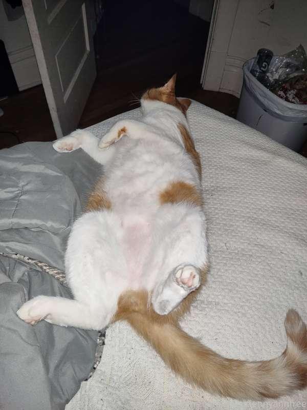 Pussy play anyone???