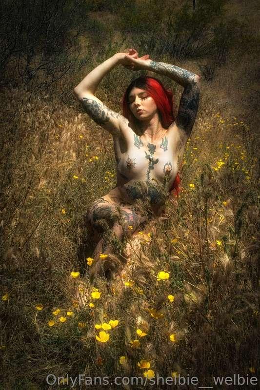 shelbie__welbie image #6