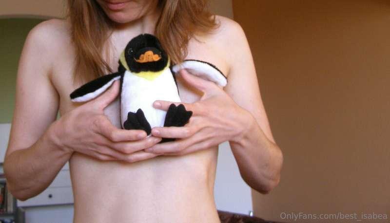 Do you like my little plush penguin?