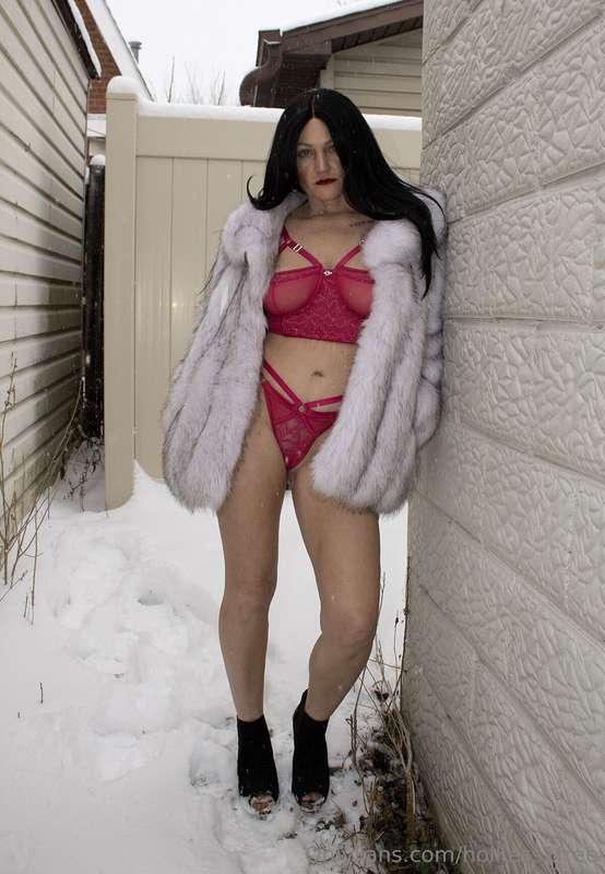 holliess1free image #8