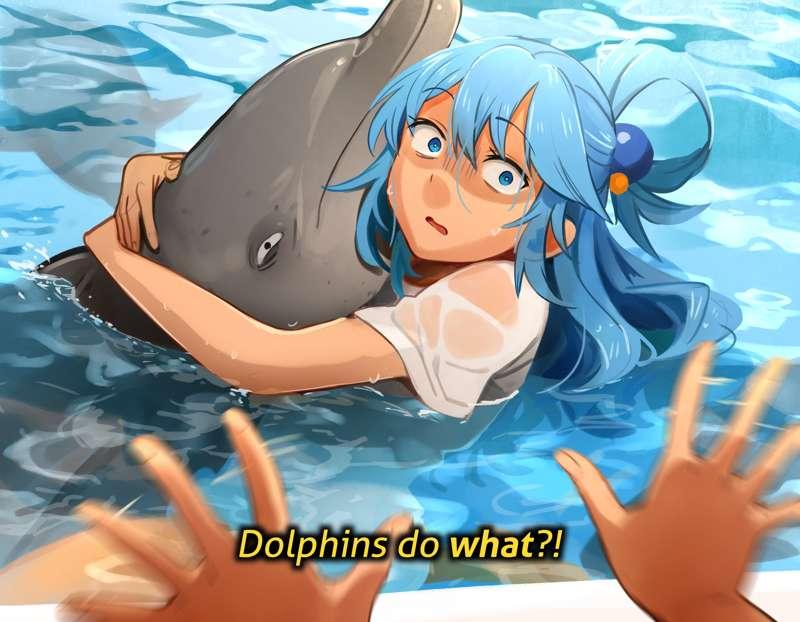 PSA: Don't hug dolphins during spring break