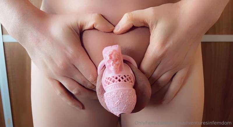 alicesadventuresinfemdom image #6