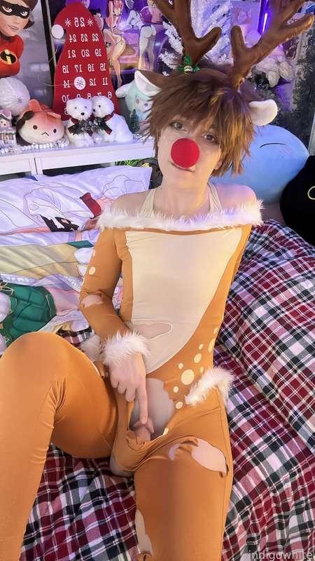 indigowhite image #20