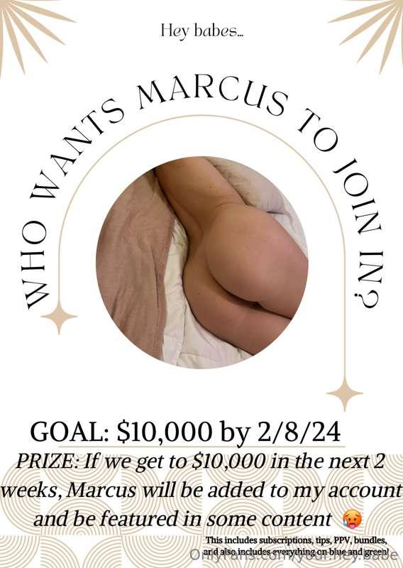 your.hey.babe main image