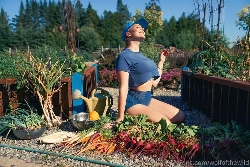 wolfofthewild image #2