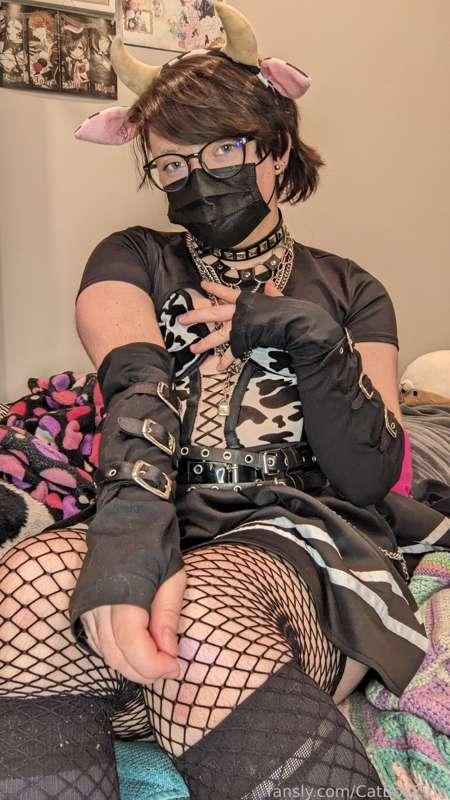 catboyzion image #13