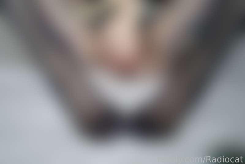 radiocat image #19