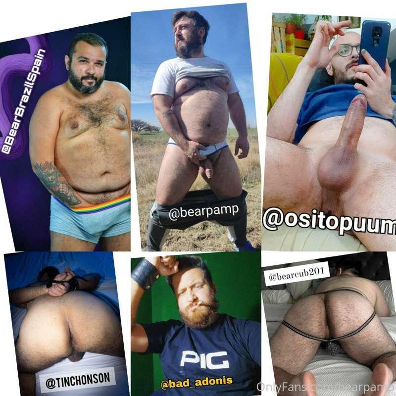 bearpamp main image