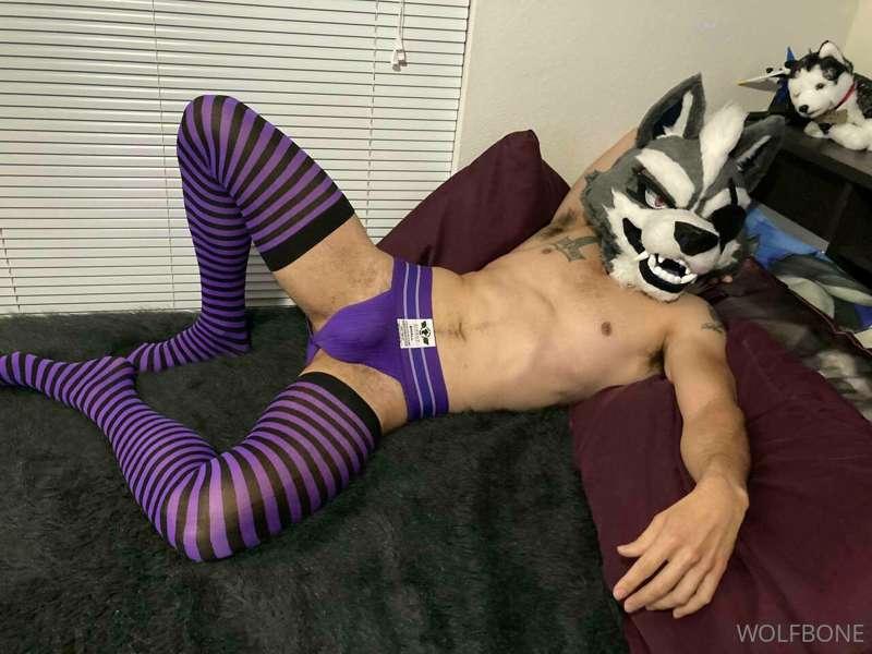 What’s a wolf gotta do to get his ass eaten around here? Get..