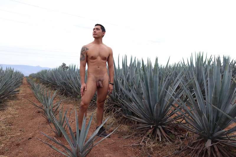 Tequila mini adventure (gone wrong) photo gallery 