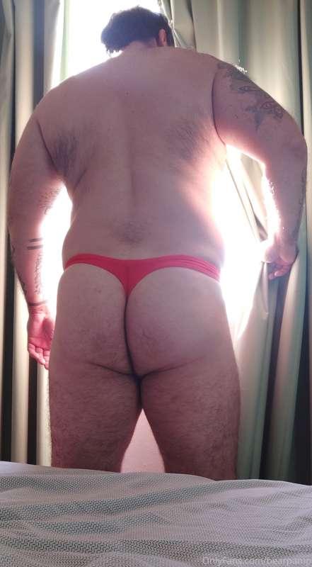 bearpamp image #1