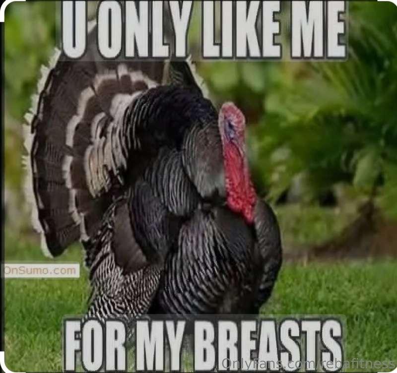 LOL.... Are you a breast lover?I love the turkey. How about ..